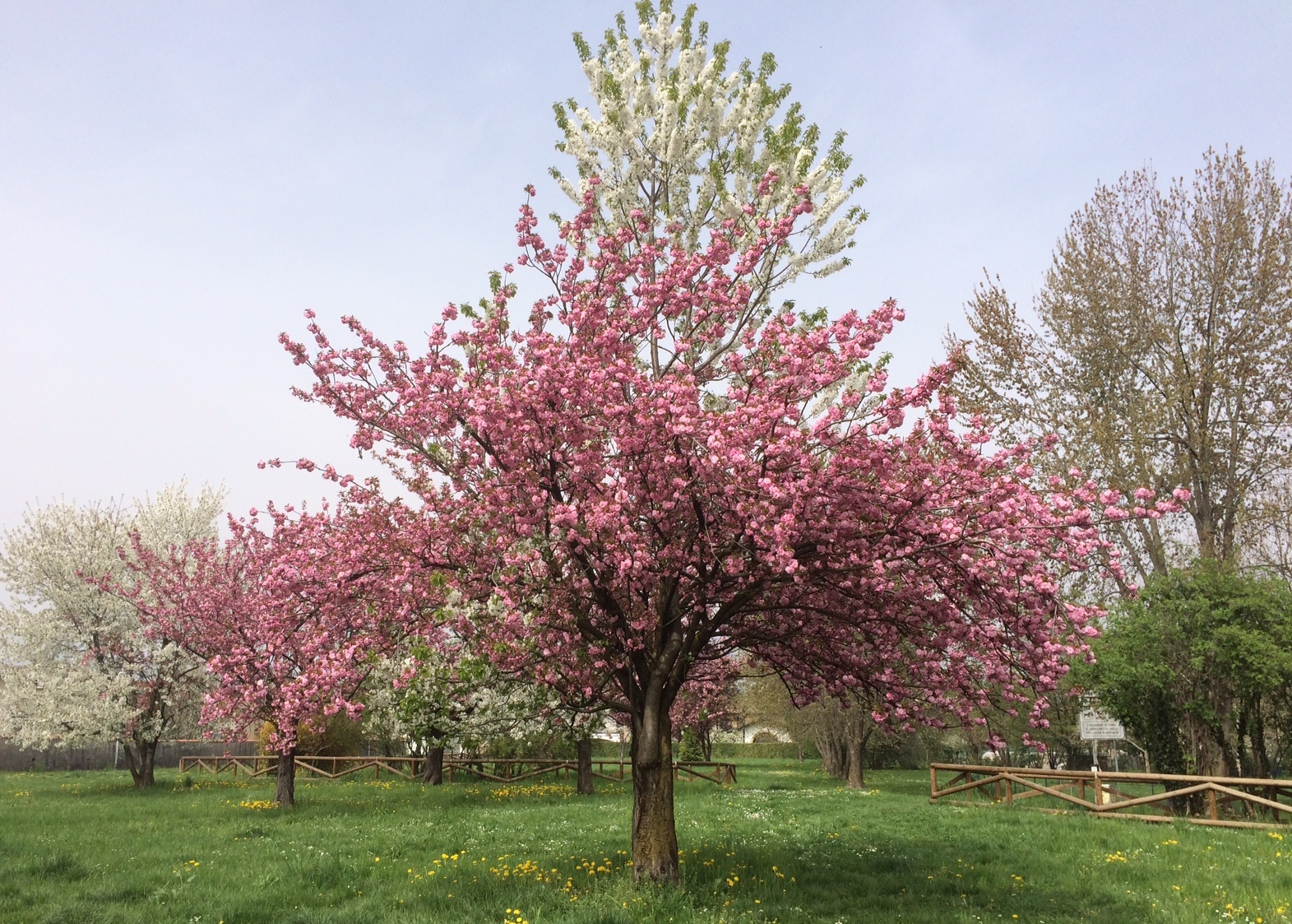 Parco del Brolo Vecchio